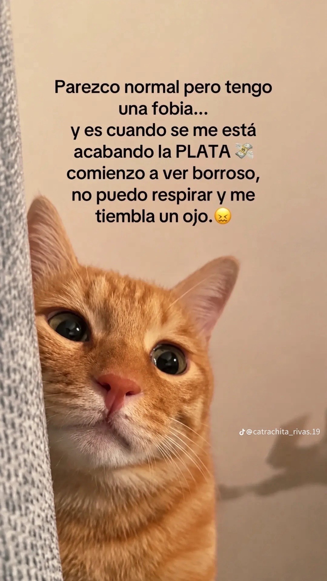 @🖤Butter cup Y🎶