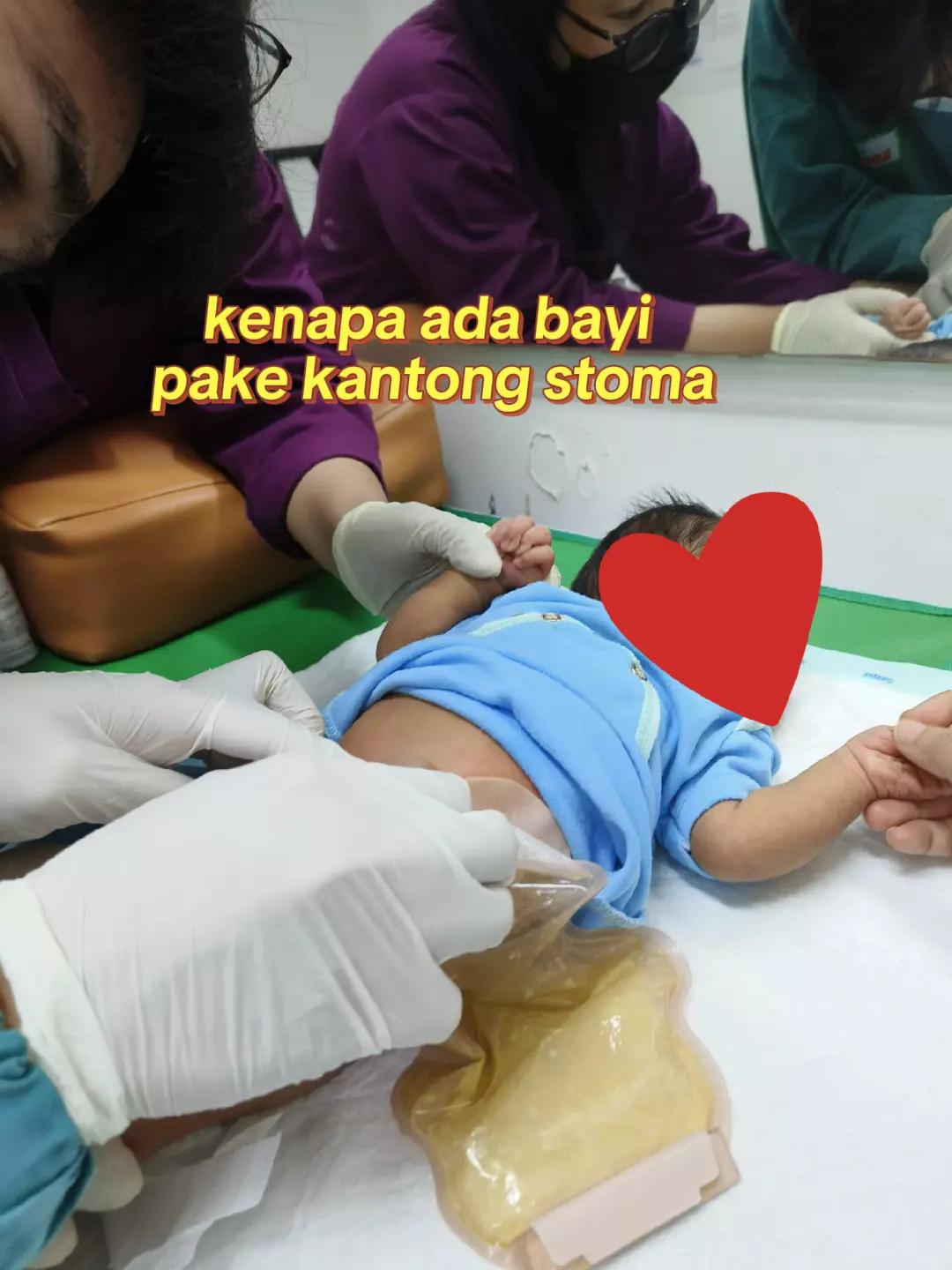 @museumstoma