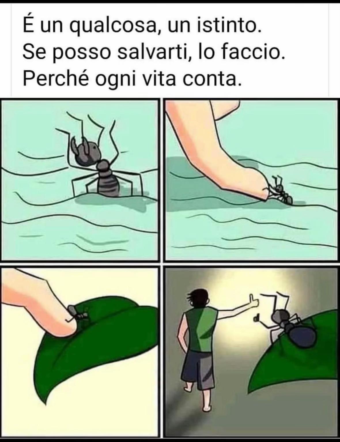 @Damiani Mattia