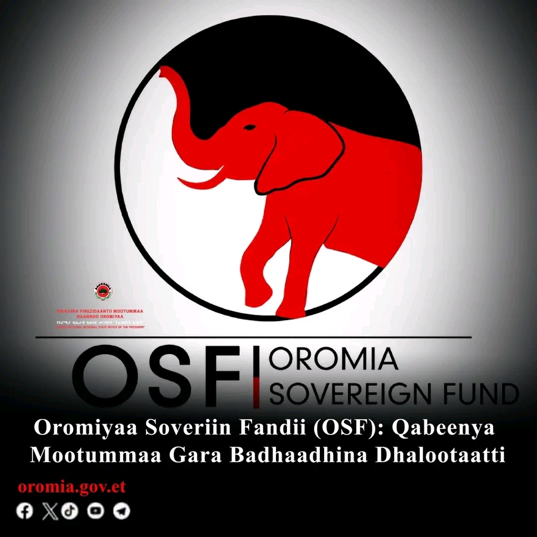 @Shimallis Abdisa Parody