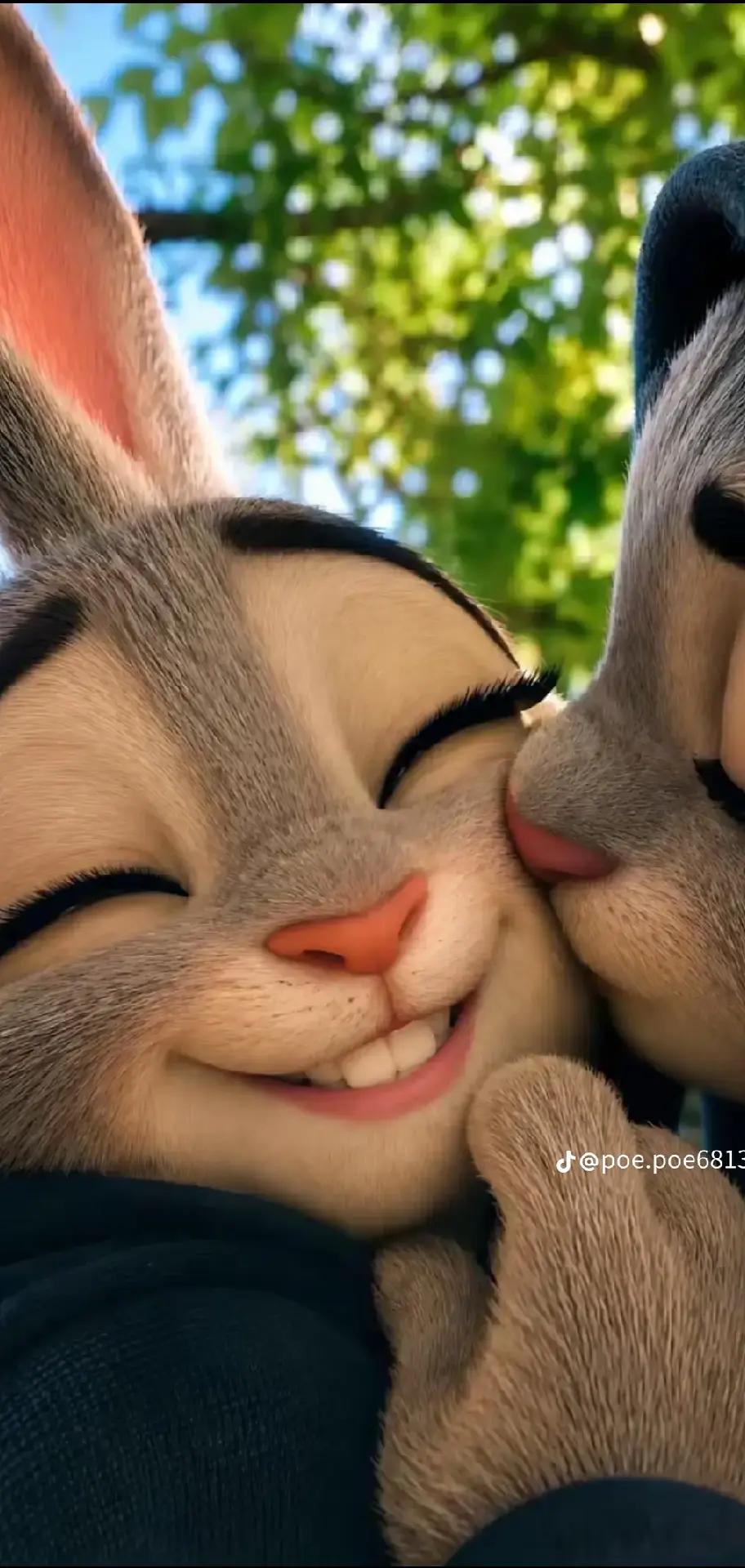 @ðSöê Wîñ Htûñðð²ð²