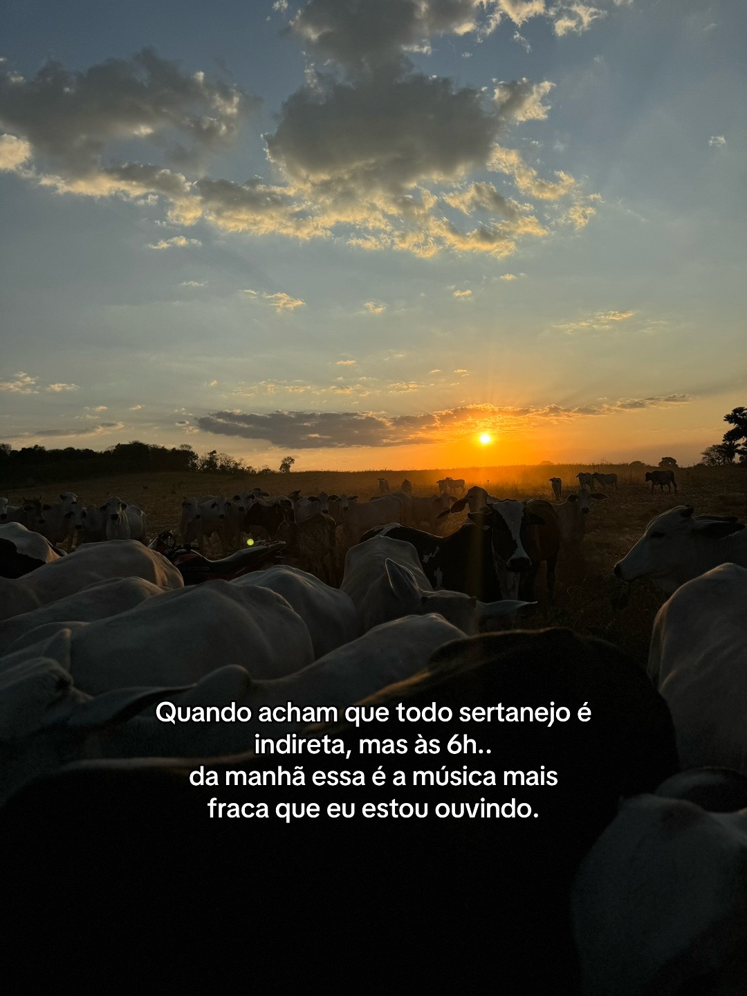 @Berdinazzi 🇧🇷