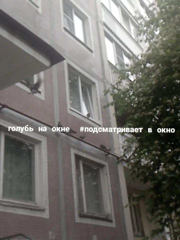 @kto takie neforы