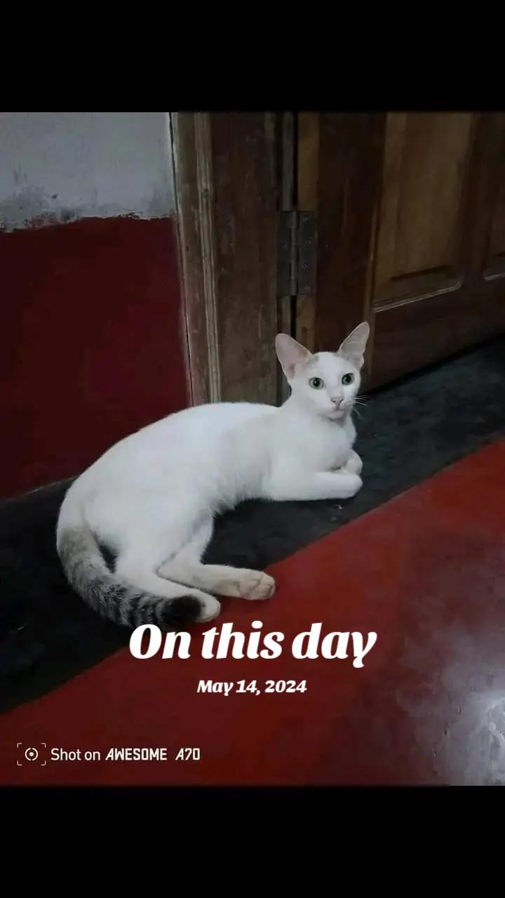 @স্বপ্নের সেই তুমি