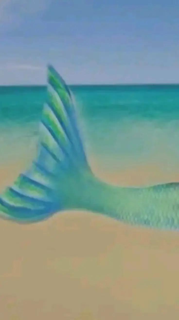 @𝐏𝐀𝐋𝐋𝐈𝐒&nbsp;ᢉ𐭩.