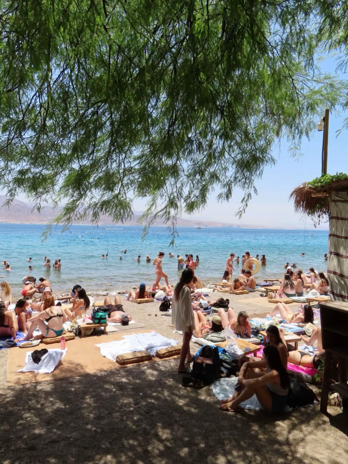 @Sinai
