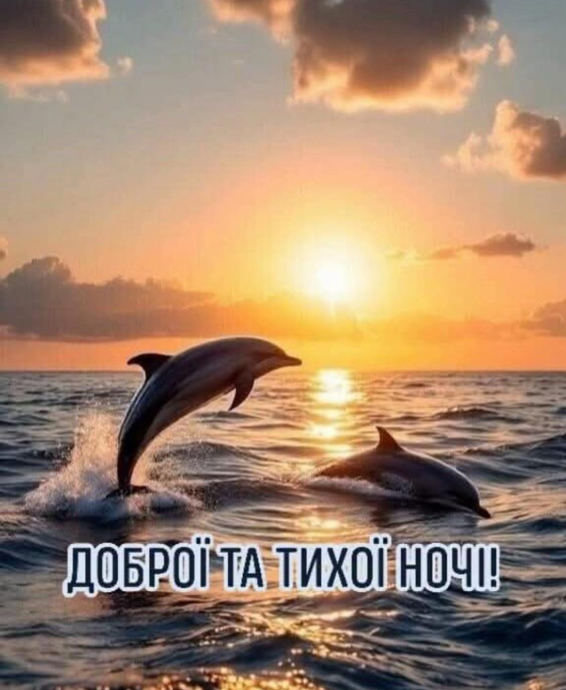 @tiktok_tiktok.com.ua