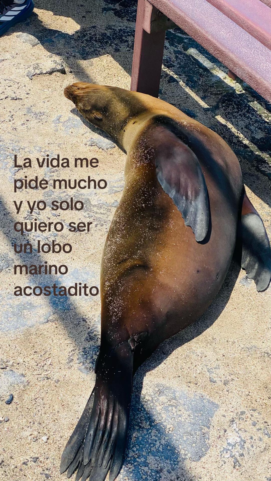@𝒯ℯ𝒻𝒾𝓉ℴ ᶻ 𝗓 𐰁 .ᐟ