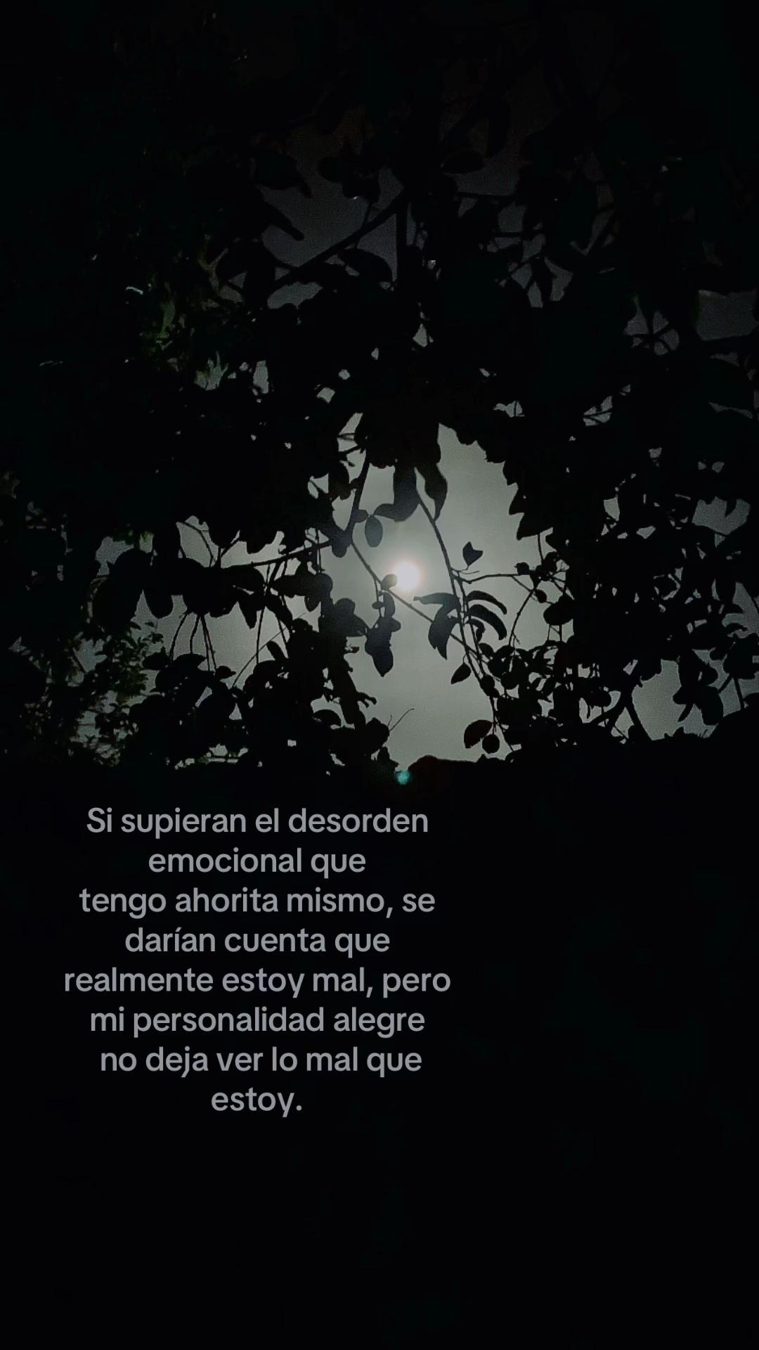 @Nobi2🐈&zwj;⬛