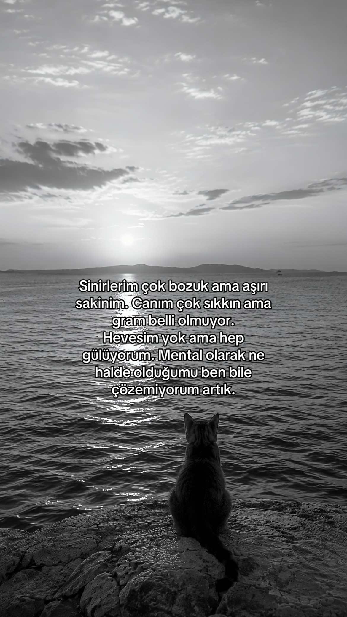 @manolialyrics