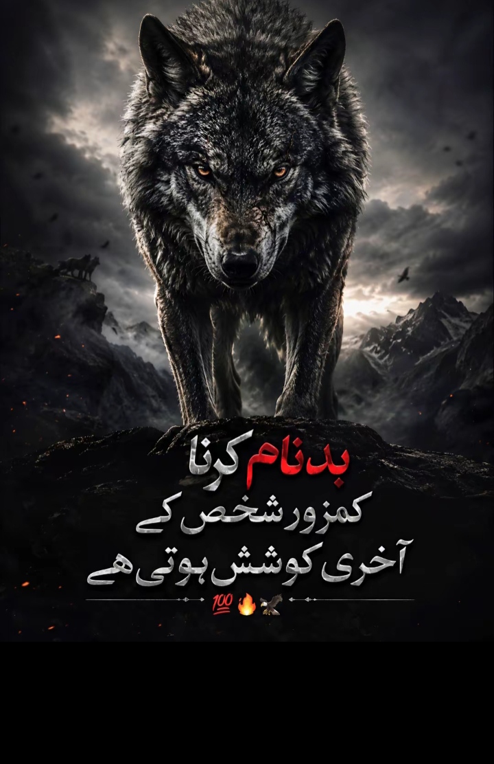 @Muhammad Farooq