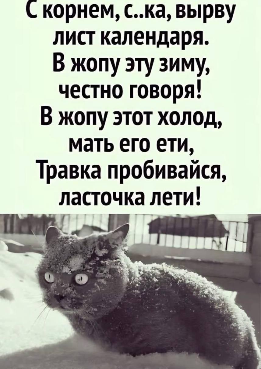 @КОМАРИХА