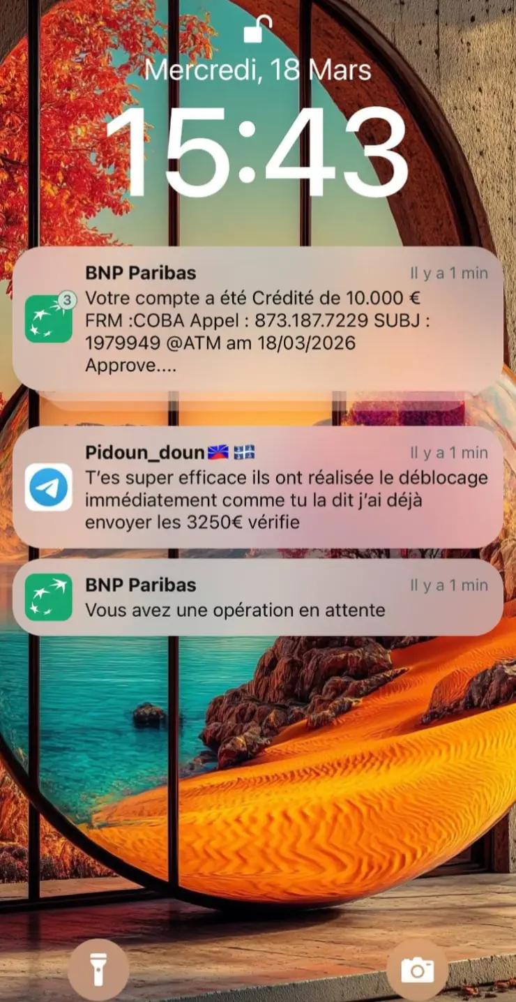 @virement instantané🇨🇵🇧🇪