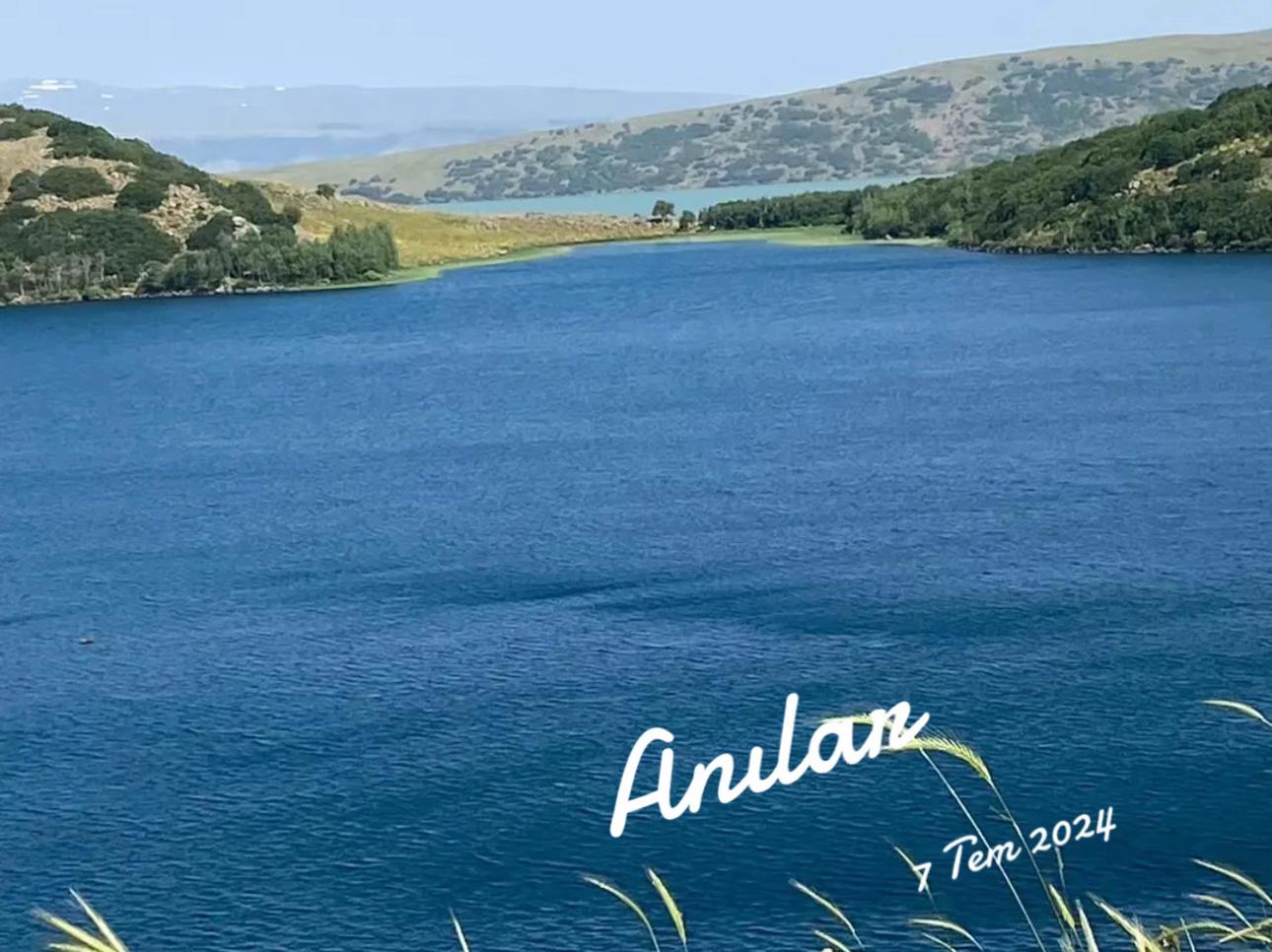 @DİJWAR 🕊️