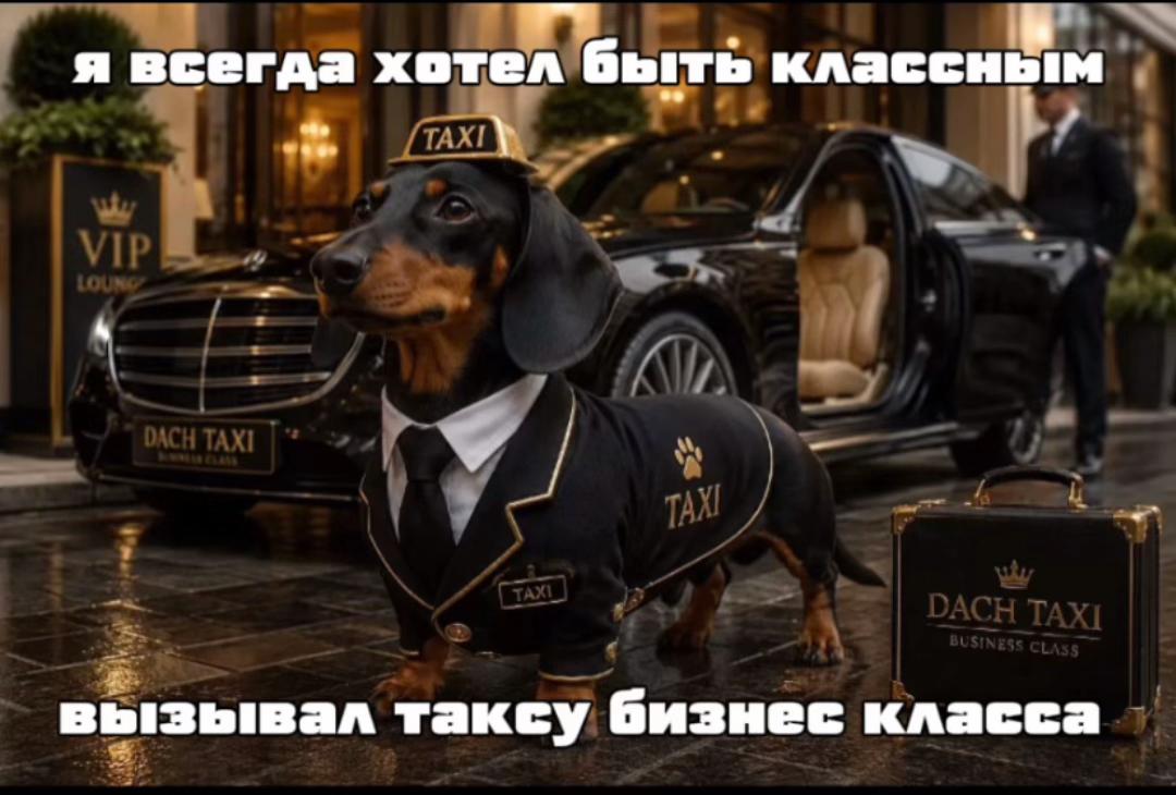 @hirndd@