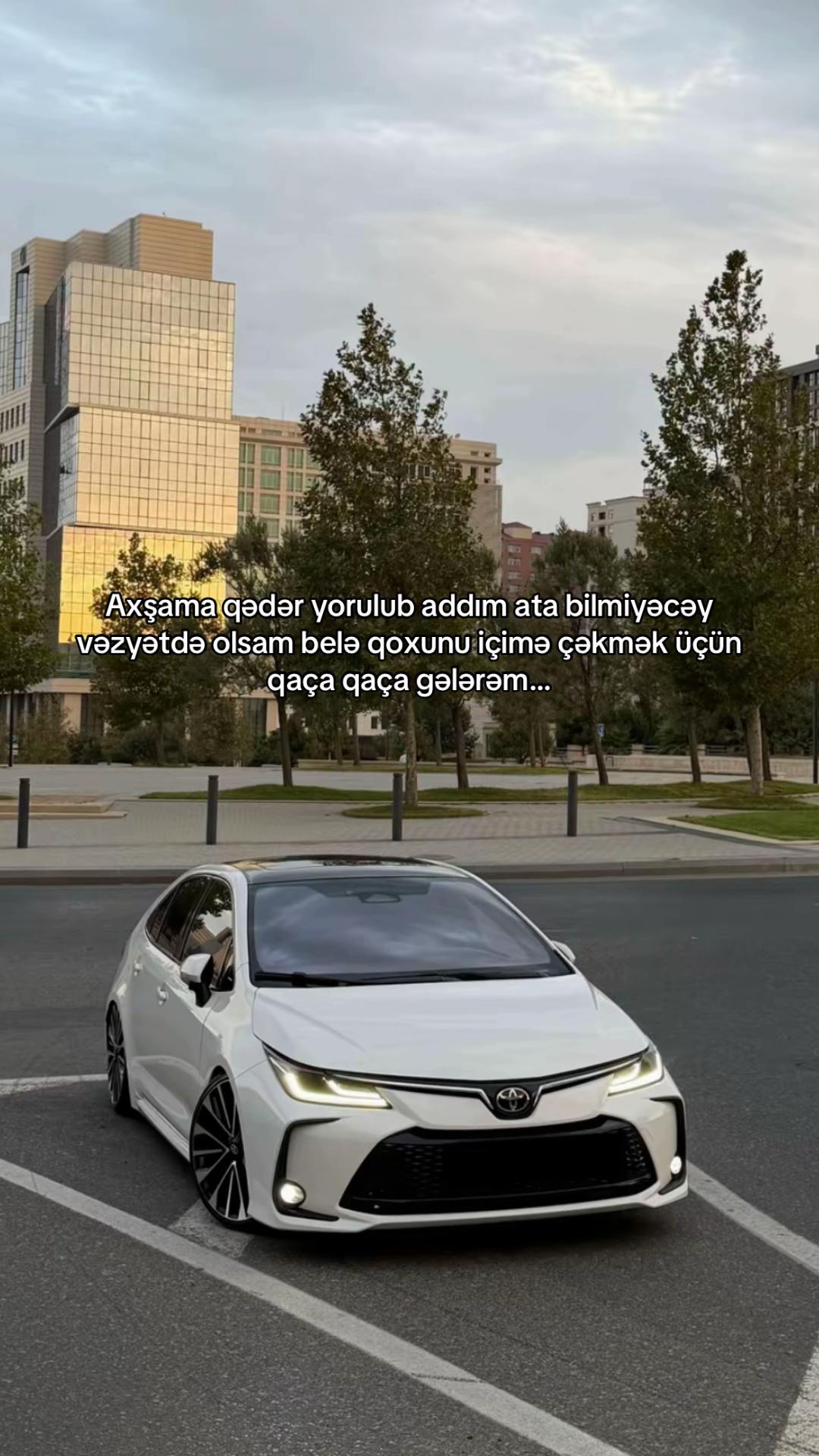 @т.з