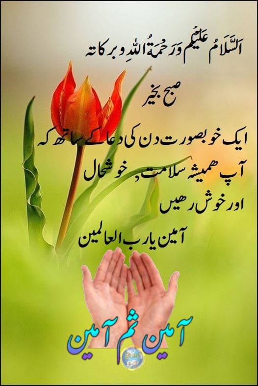 @Tahir kk