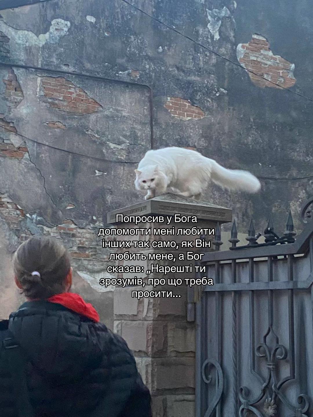 @Gogus_Andrii_&Mu;&omicron;&nu;&alpha;&chi;ό&sigmaf;☦︎