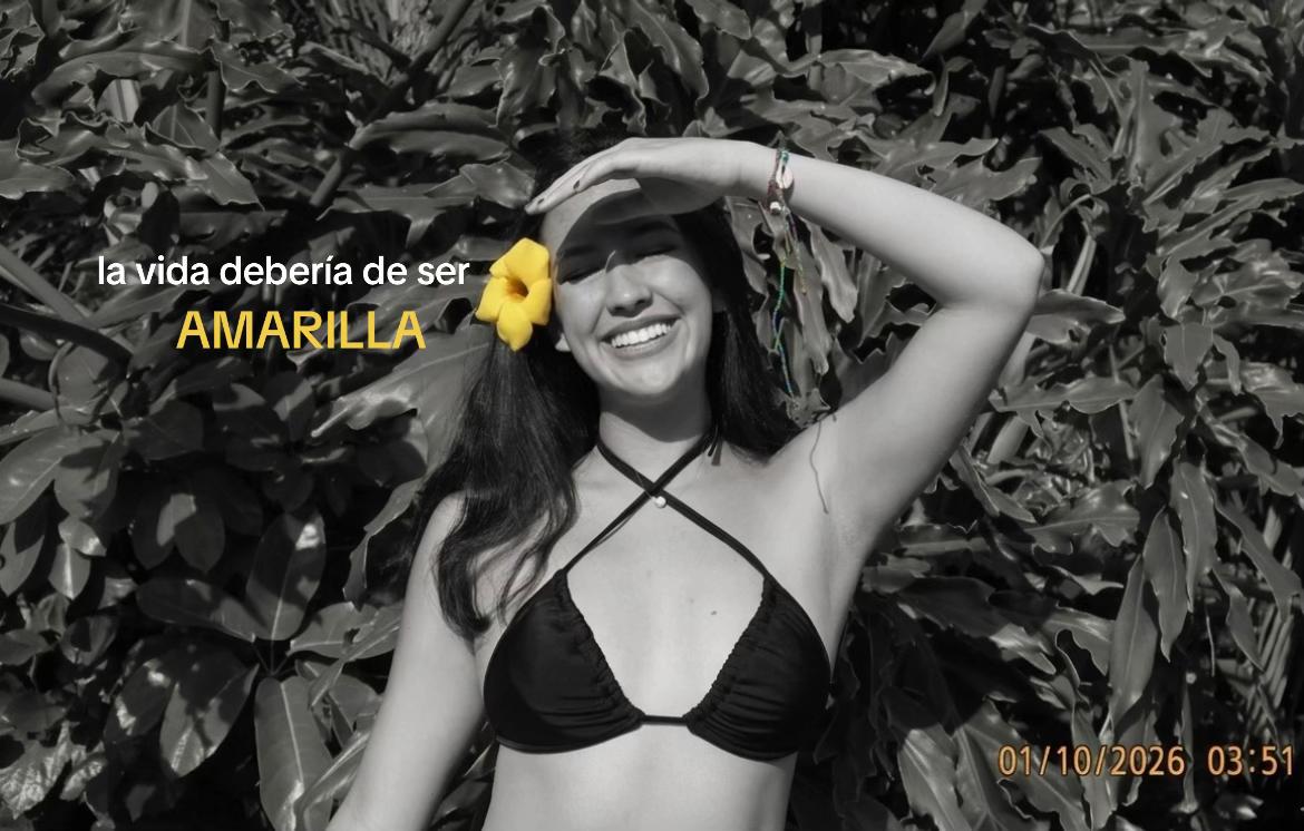 @mojito