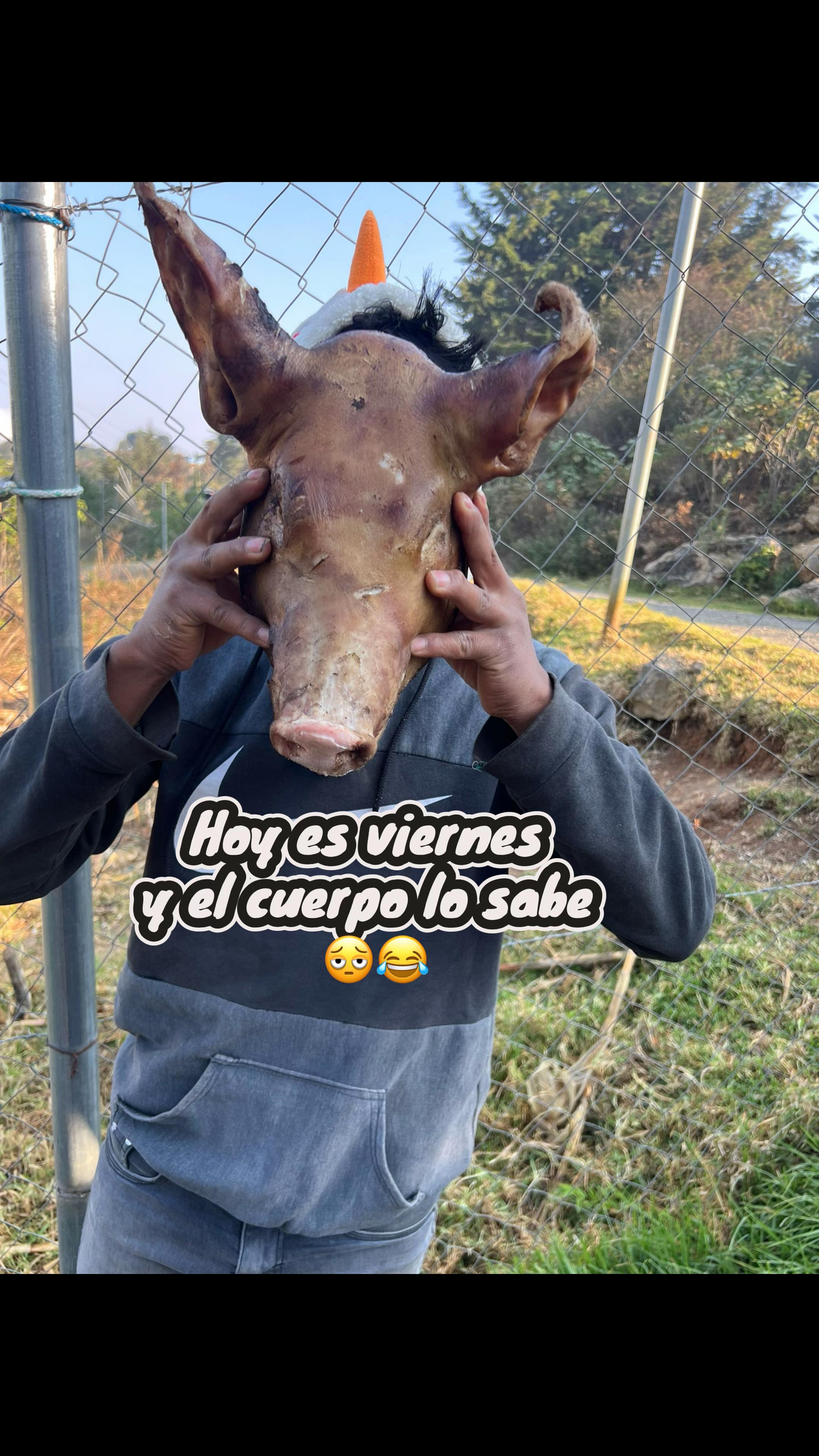 @Pedrito JD