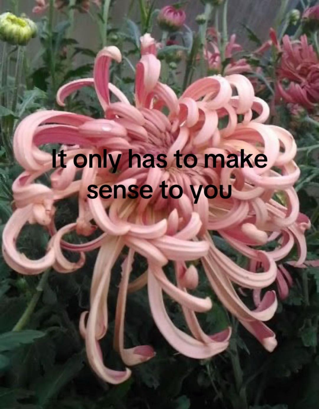 @Maria