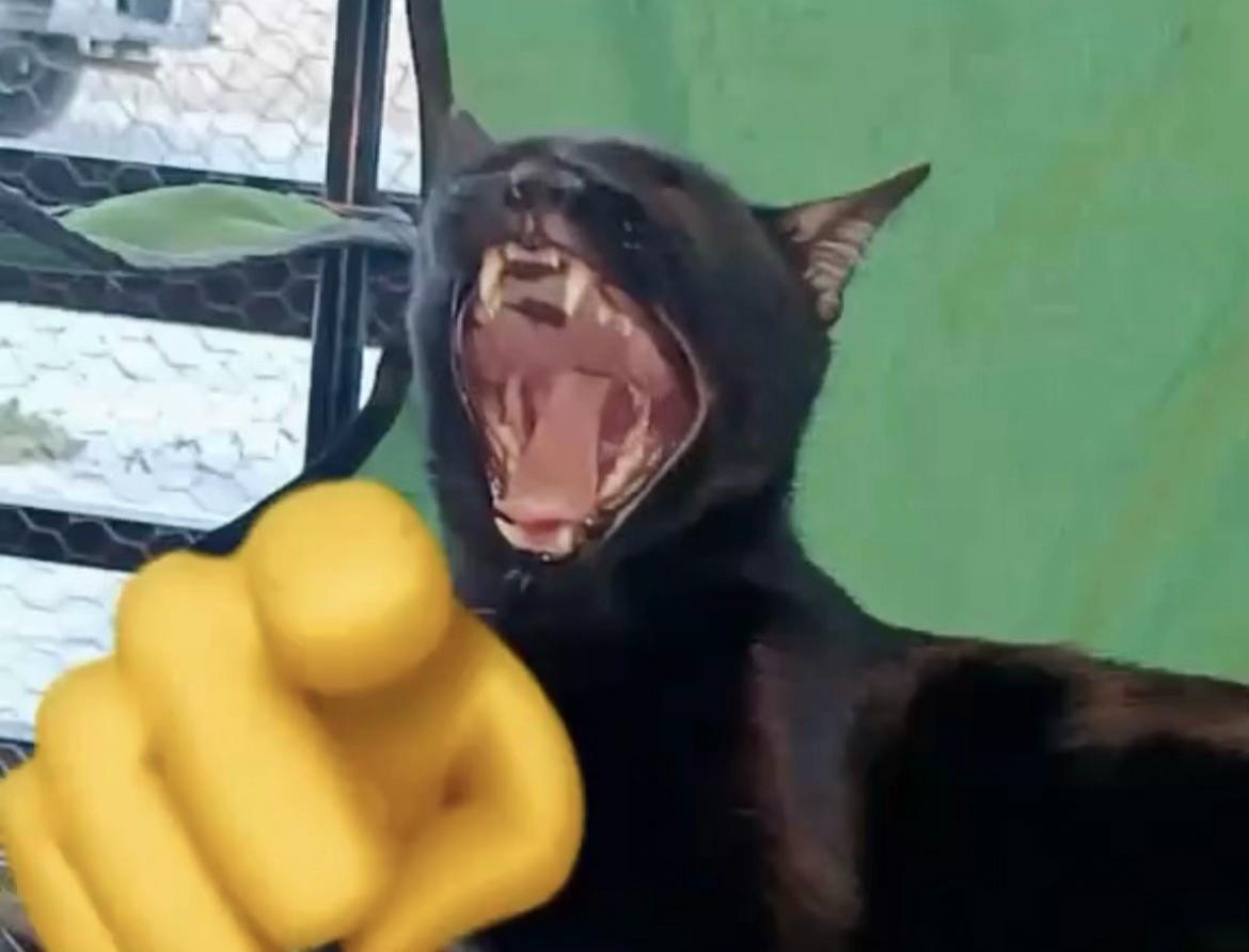 @ℝ𝕒𝕦𝕝𝕋𝔹𝕒𝕟𝕤𝕜𝕪 🏋🏼