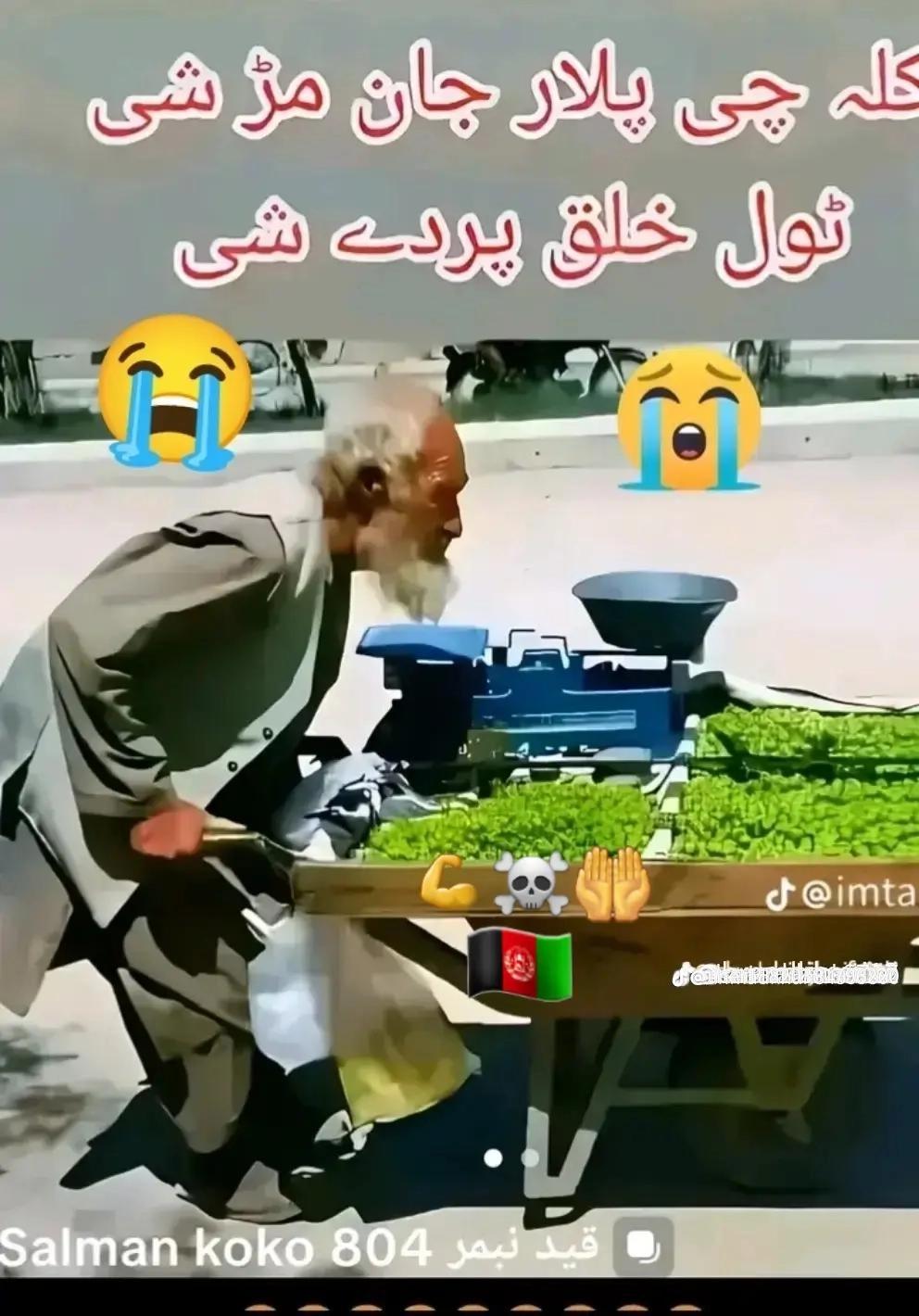 @Rashidkhan302