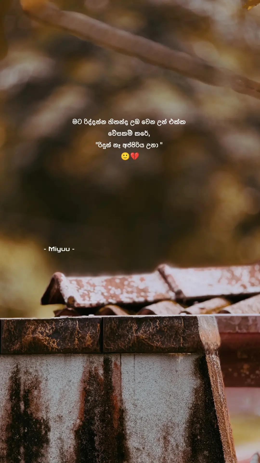 @𝐌𝐢𝐲𝐮𝐮 𝓩 🪭 !¡