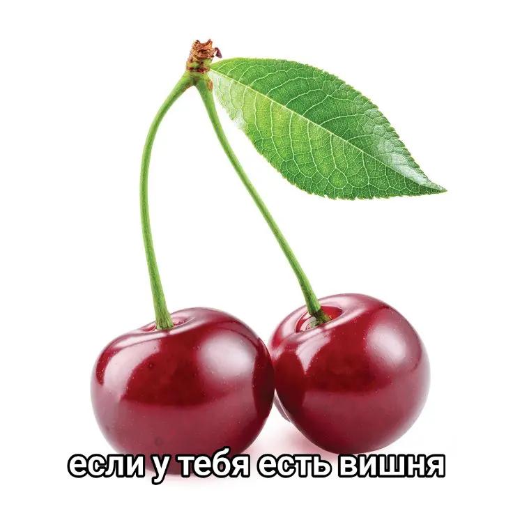 @Сунгулик