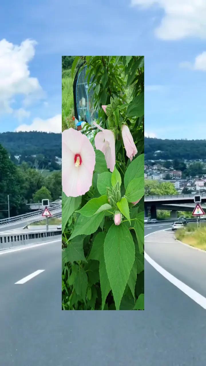 @매동산인