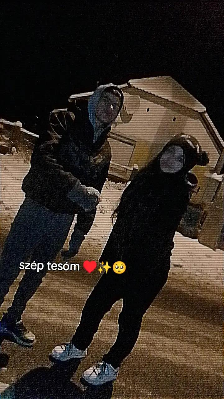 @🐍t&ouml;rpila💚