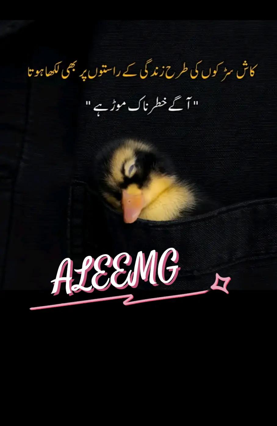 @aleem 96