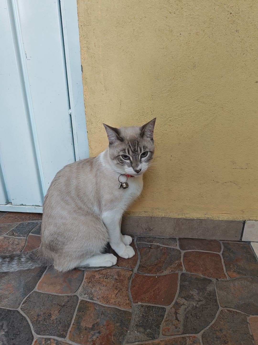 @𝐵𝑙𝑎𝑛𝑞𝑢𝑖𝑡𝑎🌷🩷