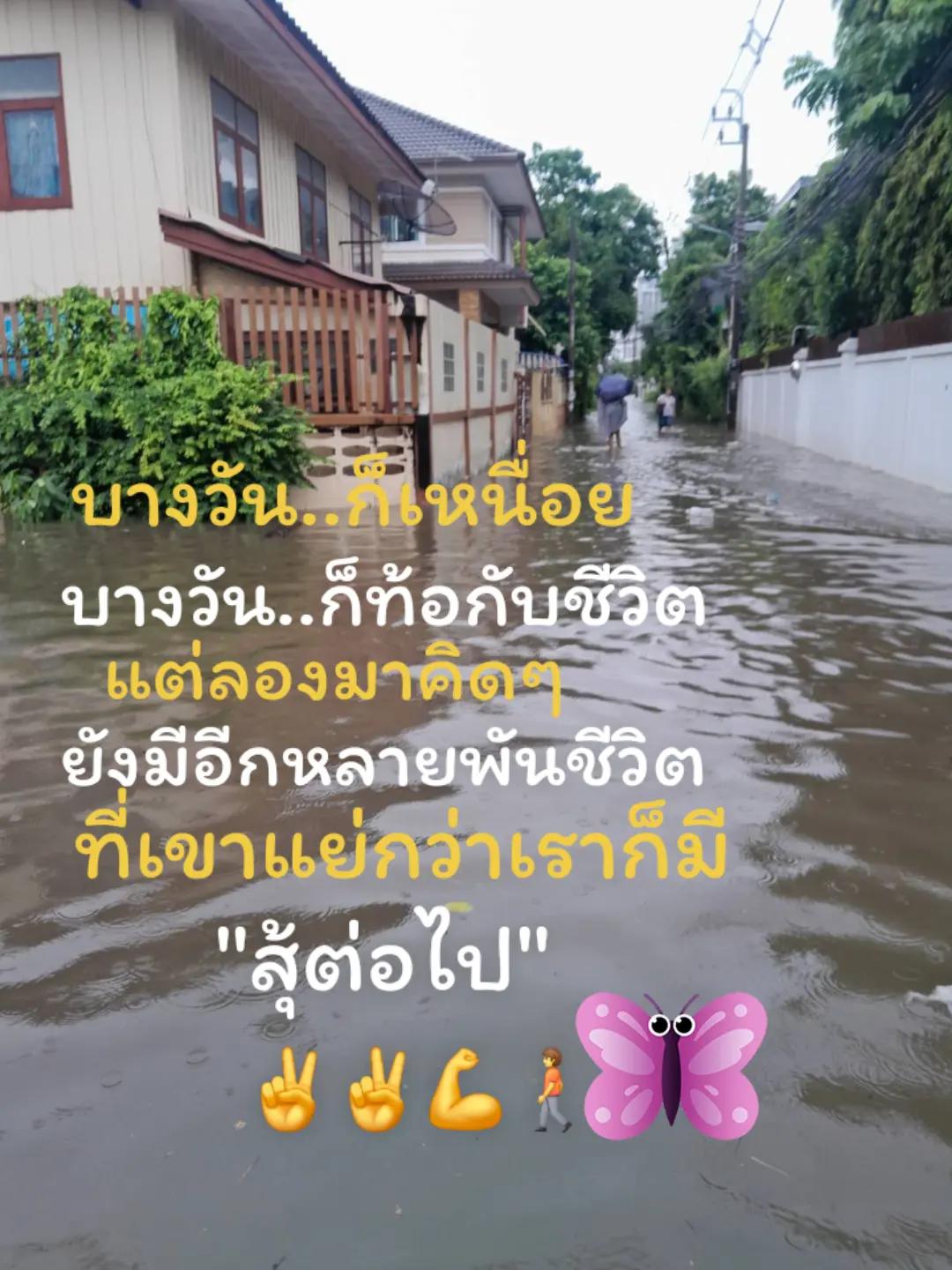 @.pin.