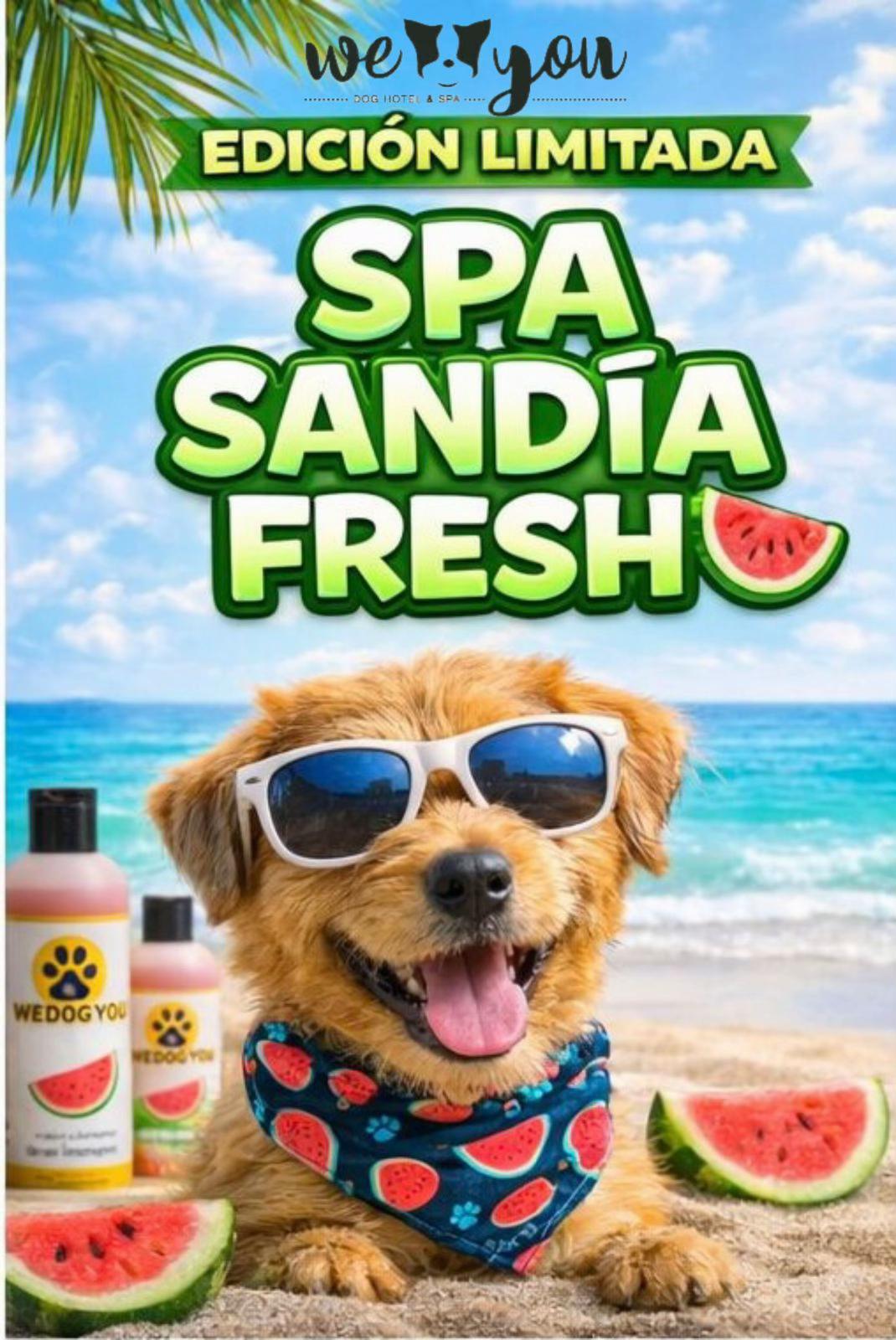 @We Dog You