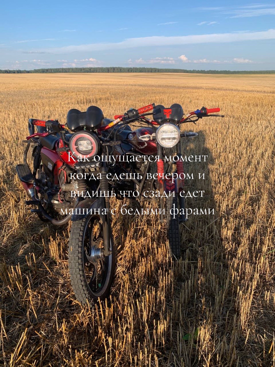 @☠️пилот альфы☠️