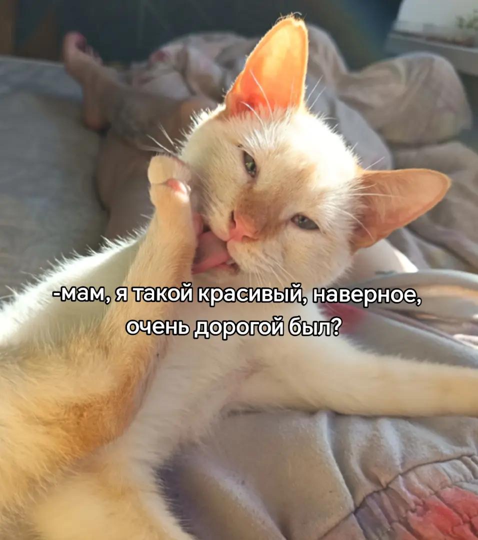 @тильт