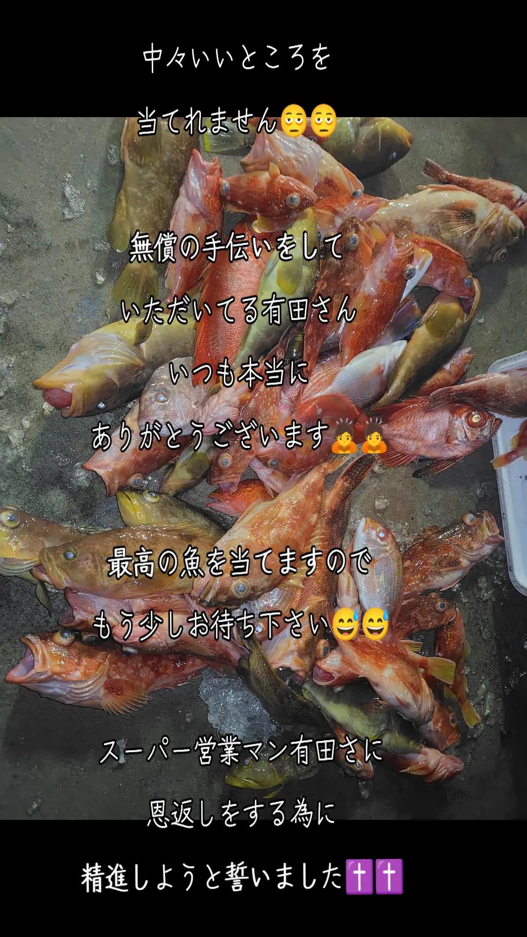 @愛真丸