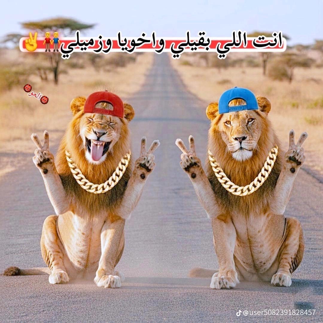 @التوامان