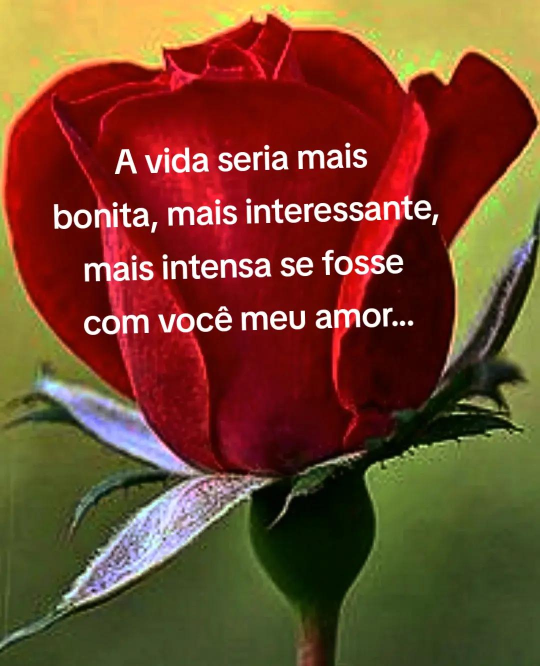 @Alicio amor infinito..