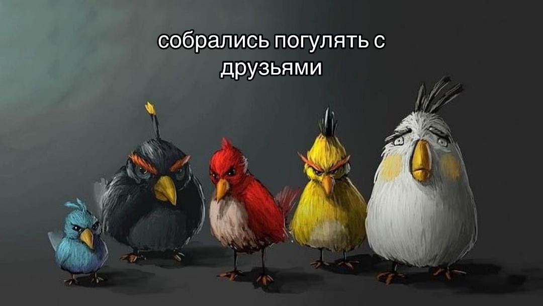 @uliana landers