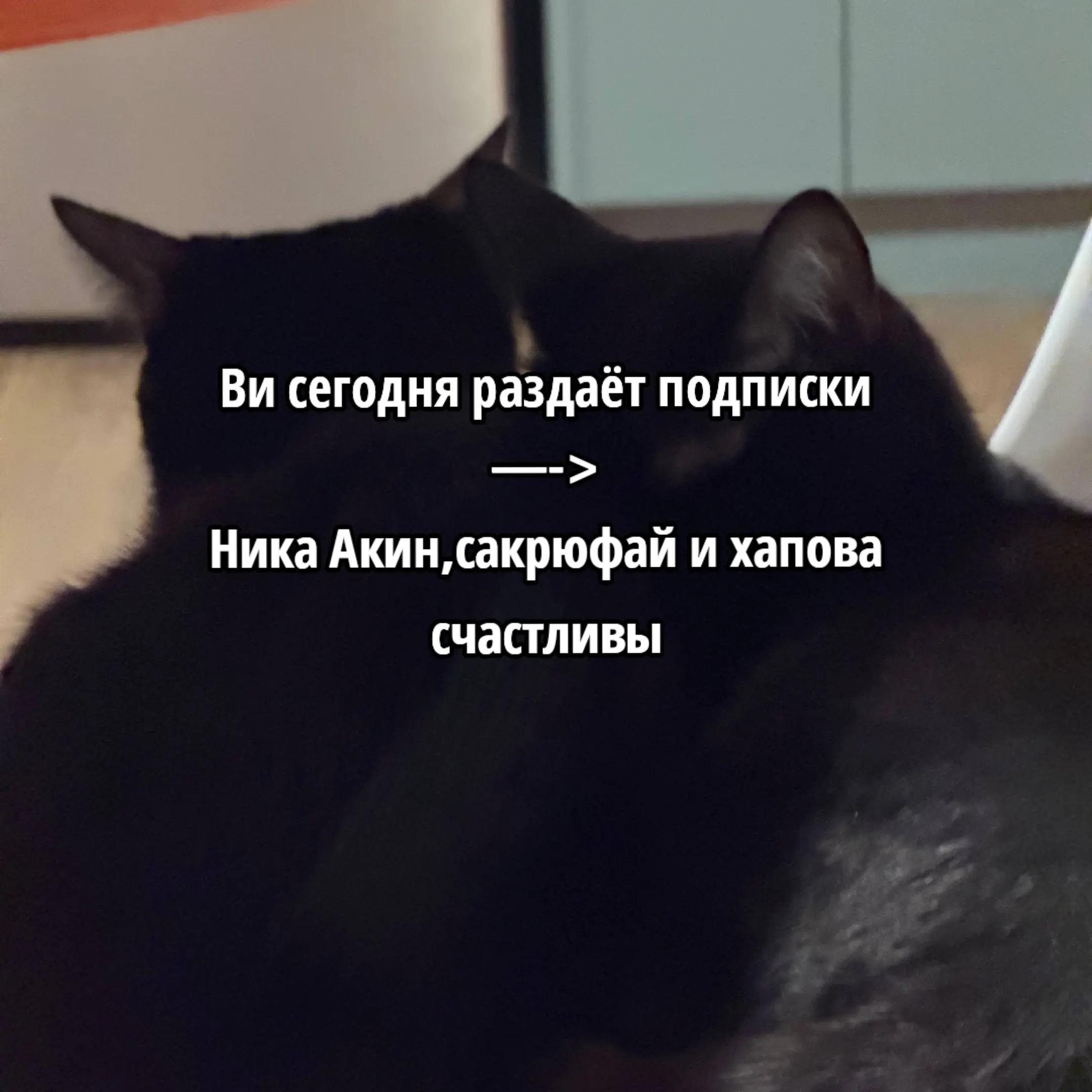 @Элли