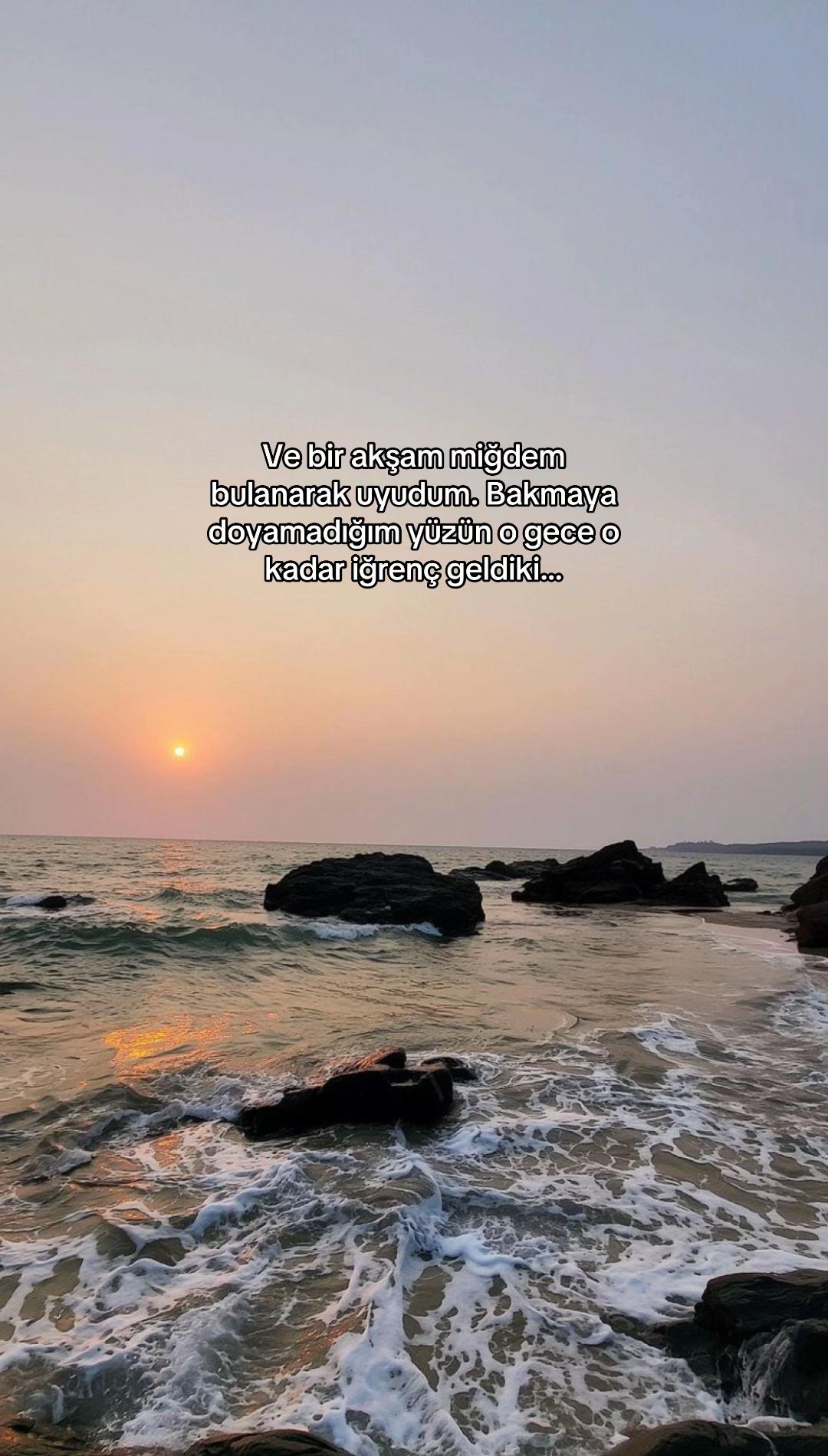 @seviyorgibiydin24