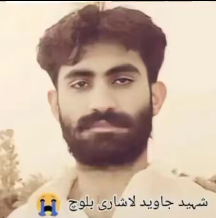 @جاوید (*_*) لاشاری