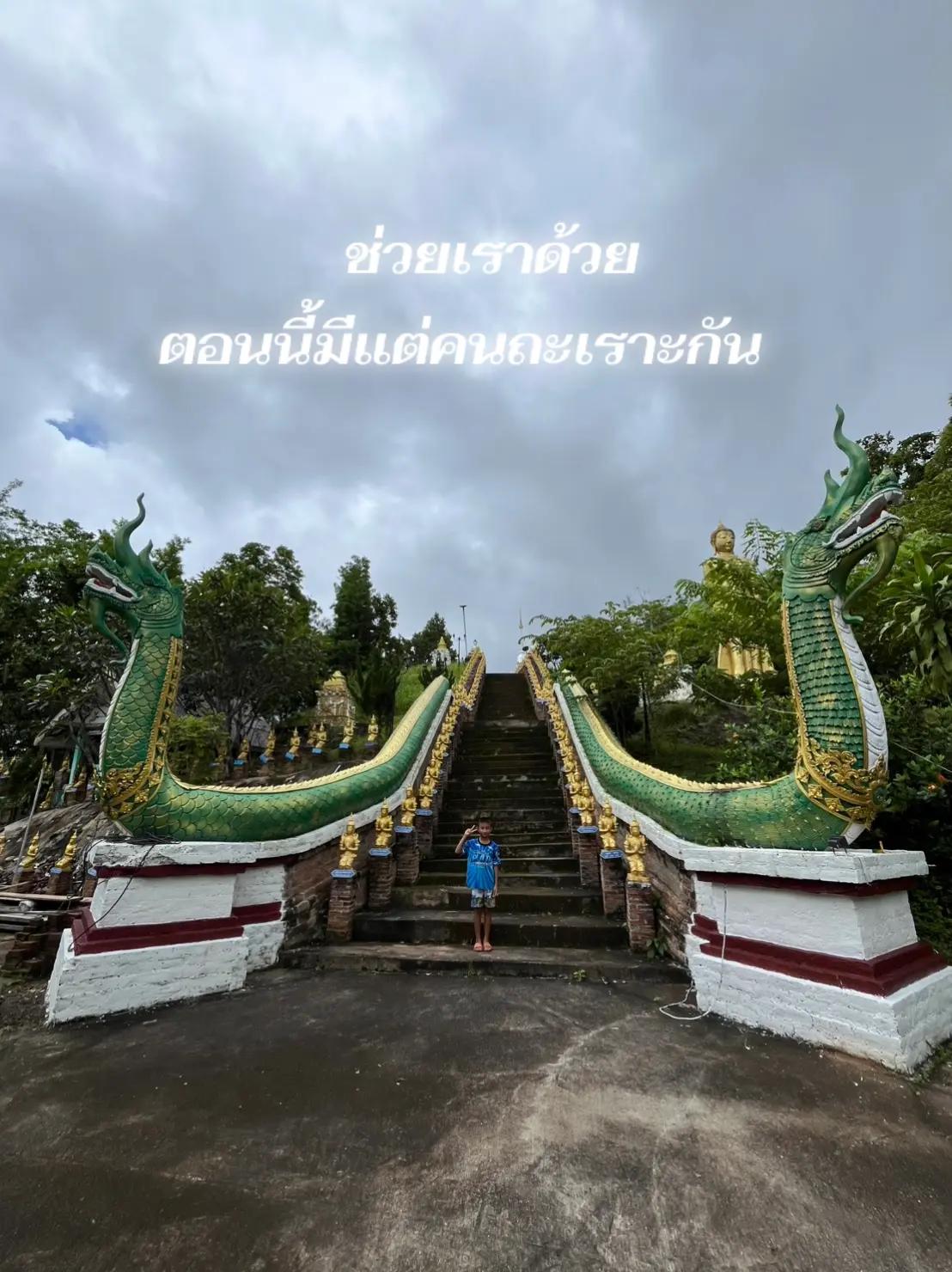 @วิน พาเที่ยว 144 (คนติดตาม)