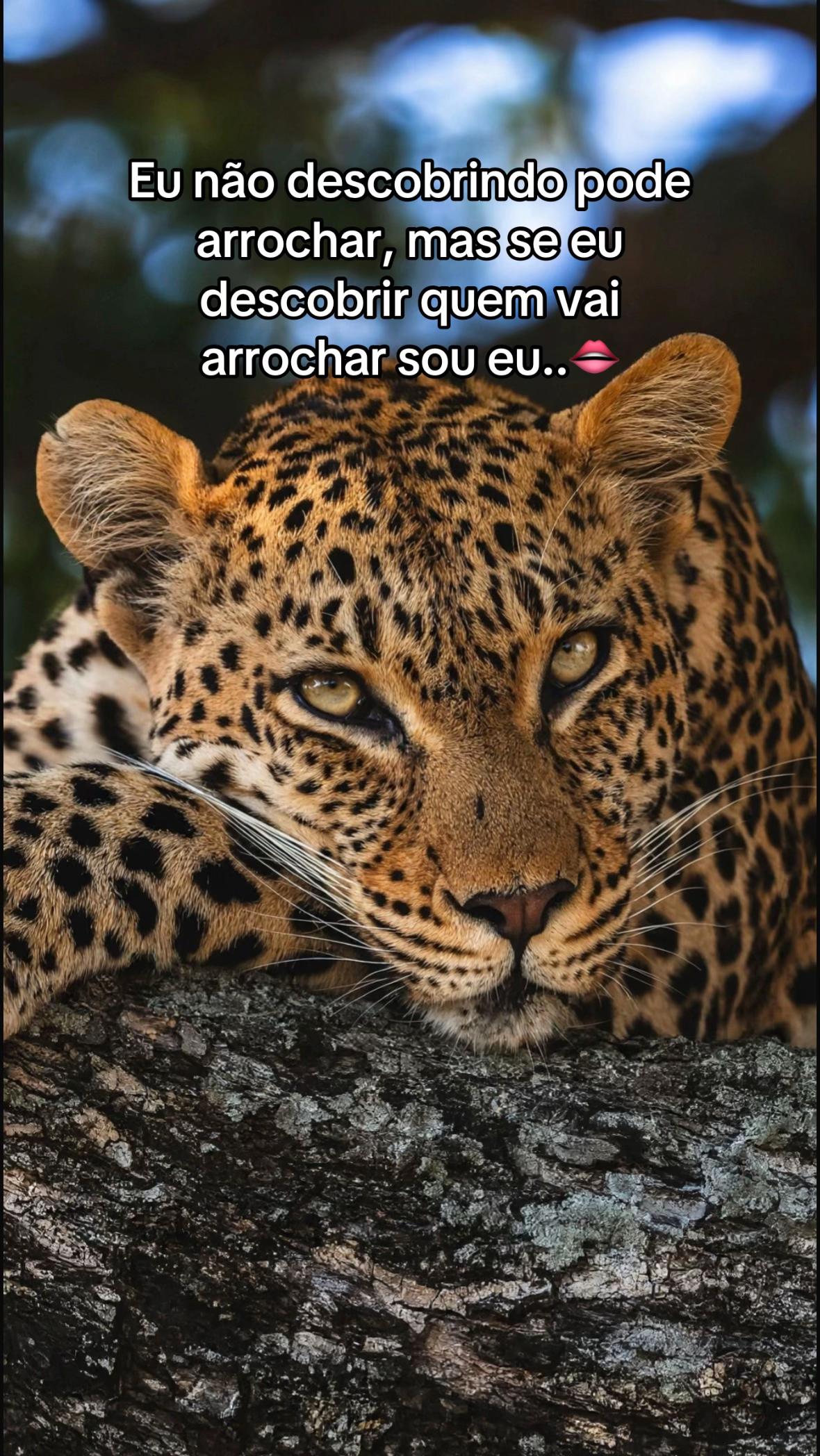 @|Mãe do Noah💚🧸