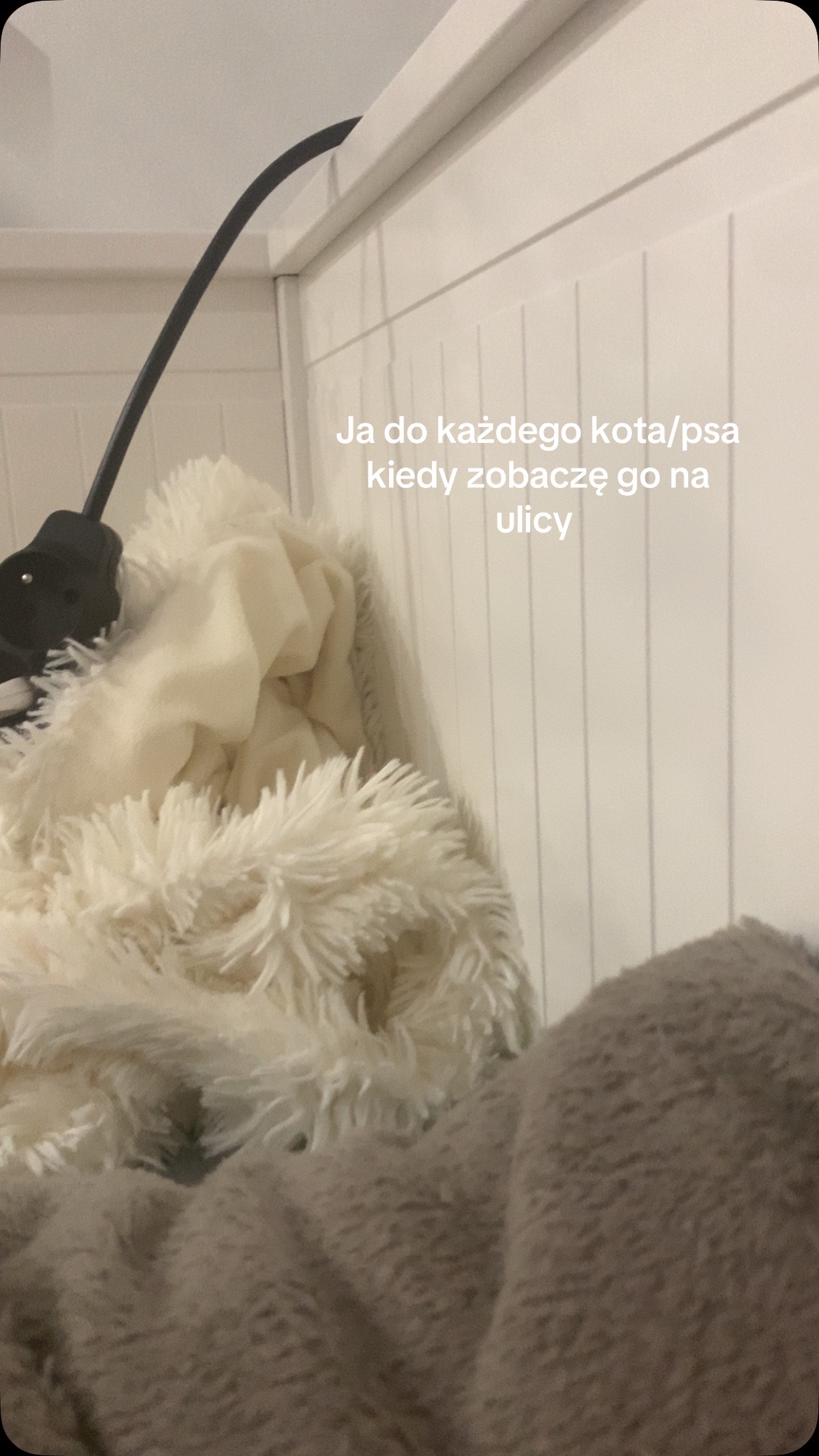 @🐻❄️