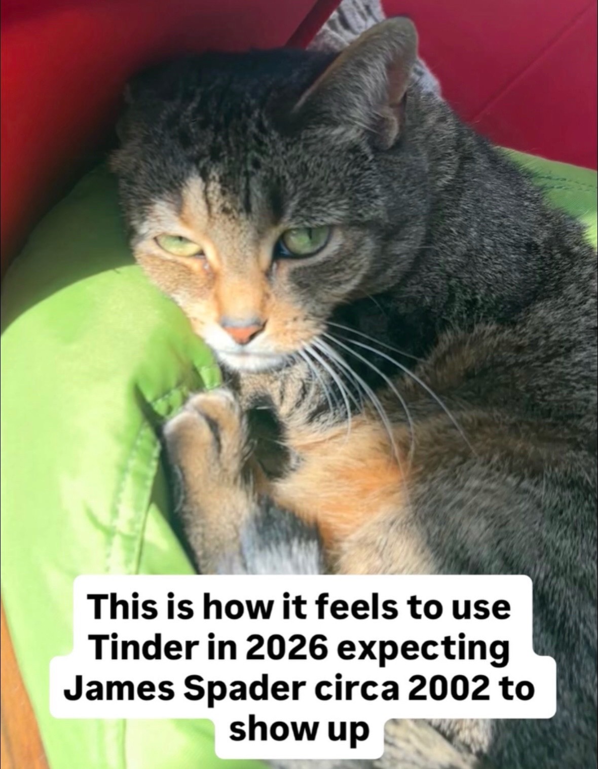 @nick <3