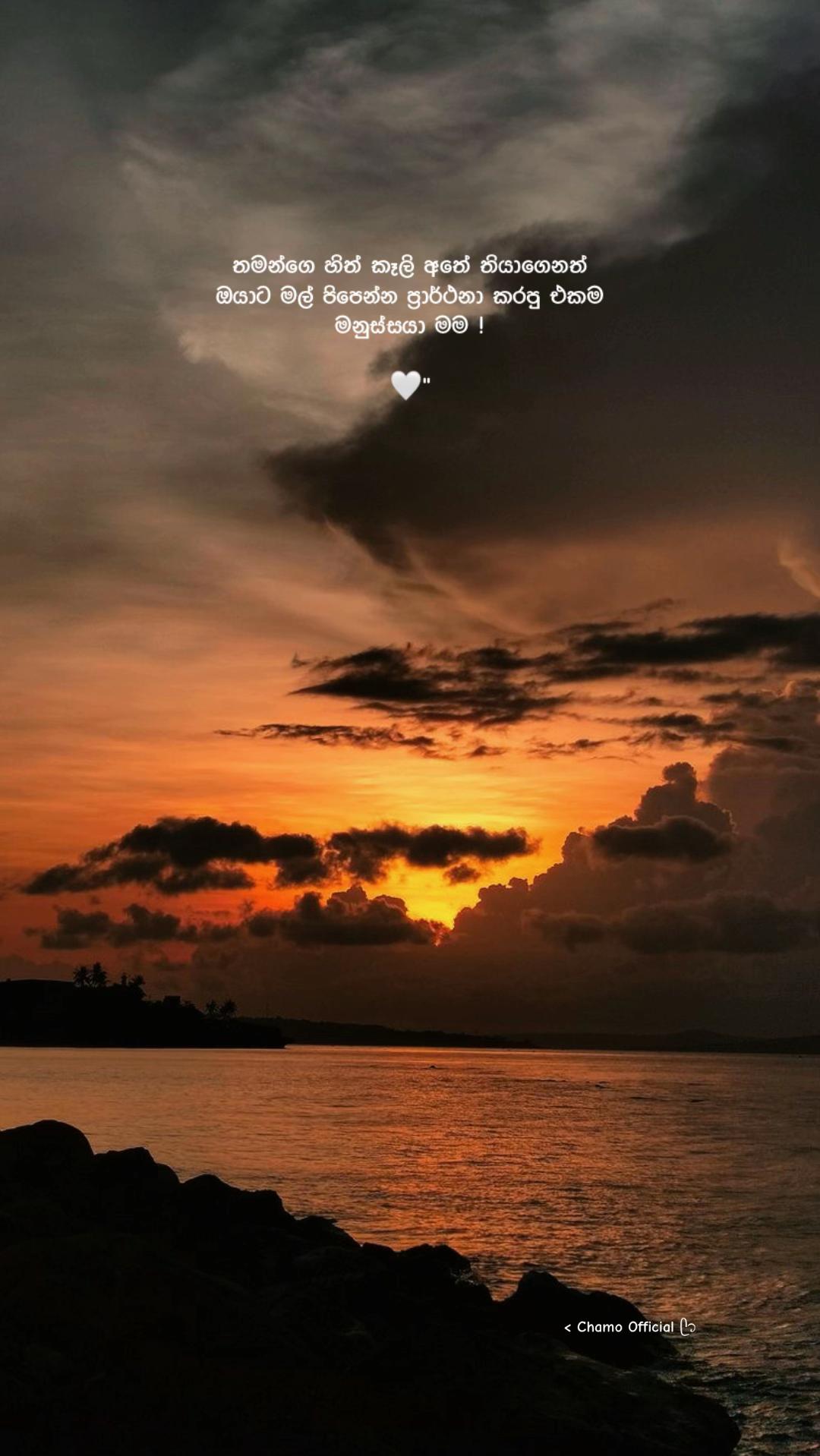 @< 𝐂𝐡𝐚𝐦𝐨 ᥫ᭡