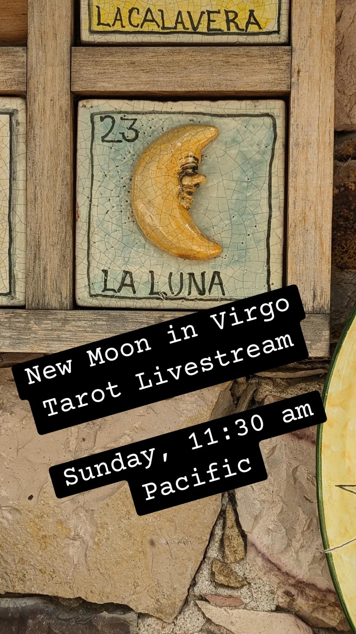 @Shonna | Tarot Teacher